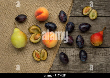 Frutti maturi di pesche, susine e pera su sfondo rustico. Foto Stock