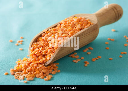 Materie sano di lenticchie rosse nel convogliatore Foto Stock