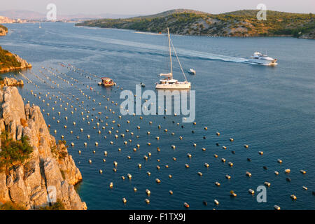 Allevamento di cozze vicino a Sibenik in Croazia Foto Stock