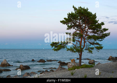 Vela presso la costa dell'isola di Gotland, Svezia Foto Stock