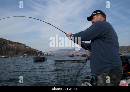 Salmone Chinook pesca sul fiume Columbia vicino al Dalles, Oregon. Foto Stock