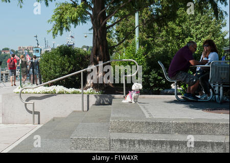 Pier 83 in Manhattan Hudson River Park su un pomeriggio in tarda estate. Foto Stock