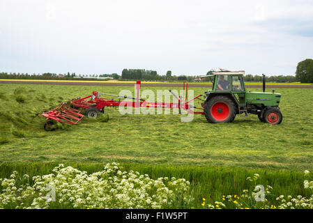 Contadino con il trattore a suo farmland girando l'erba ad asciugare al sole Foto Stock
