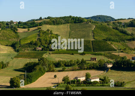 Nella foto una bella vista delle colline di Piacenza (Castell'Arquato) e i suoi vigneti. Foto Stock