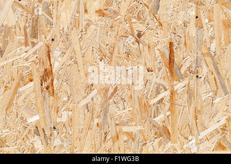 Oriented strand board OSB. Scheda Sterling con viti foto di sfondo texture Foto Stock