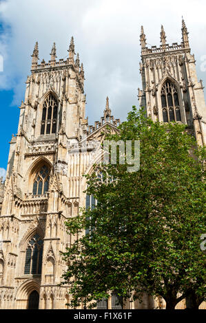 Il fronte ovest di York Minster dal Minster cantiere, la città di York, nello Yorkshire, Inghilterra, Regno Unito Foto Stock