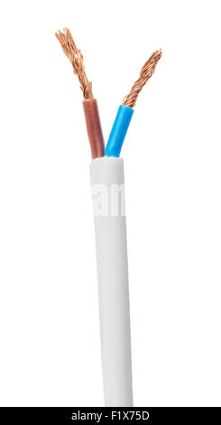 La cancellata rame cavo di alimentazione elettrica. Foto Stock