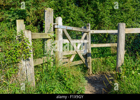 Baciare in legno cancello su un sentiero pubblico in Arundel, West Sussex, in Inghilterra, Regno Unito. Foto Stock