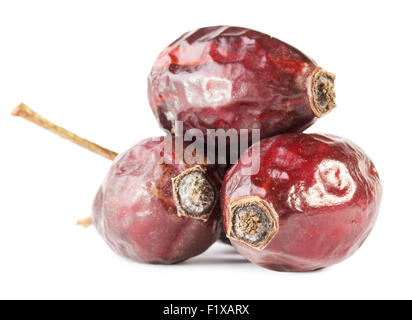 Secchi di bacche di rosa canina isolato su uno sfondo bianco. Foto Stock