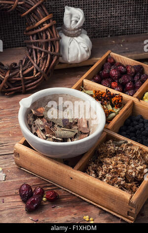 Tagliare mazzetto piante medicinali,malta sulla tavola di legno.tonica. Foto Stock