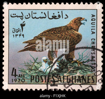 Timbro stampato in Afghanistan mostra Aquila reale (Aquila chrysaetos), circa 1970 Foto Stock