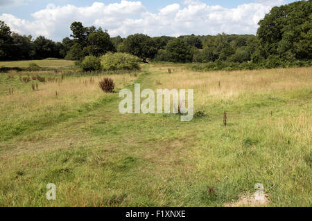 Campagna del Sussex nord di Haywards Heath soggette a maggiore sviluppo Foto Stock