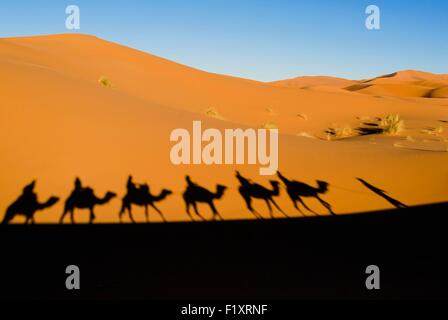 Il Marocco, Meknes Tafilalt regione, Erg Chebbi, Merzouga Foto Stock