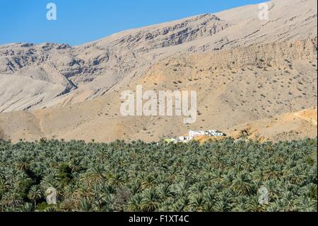 Il sultanato di Oman, gouvernorate di cenere Sharqiyah, Wadi Bani Khalid Foto Stock