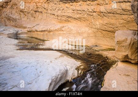 Il sultanato di Oman, gouvernorate di cenere Sharqiyah, Wadi Bani Khalid Foto Stock