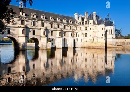 Francia, Indre et Loire, Castello di Chenonceau Foto Stock