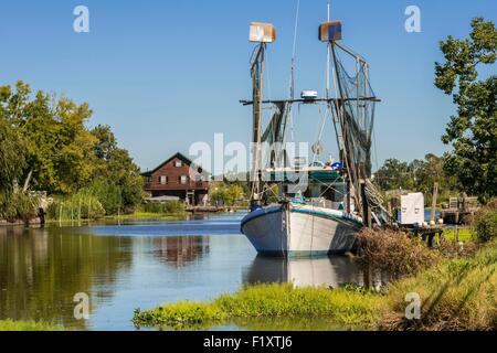 Stati Uniti, Louisiana, Pointe aux Chenes, gamberetti su bayou Foto Stock