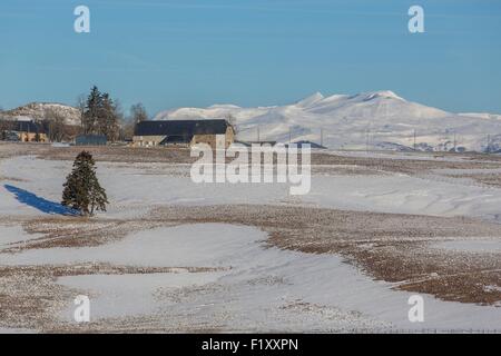 Francia, Puy de Dome, nei pressi de la Godivelle, altopiano di Cezallier paesaggio, Monts-dore colline ans Puy de Sancy in background, Parc naturel regional des Volcans d'Auvergne (Riserva Naturale Regionale dei Vulcani della Auvergne) Foto Stock