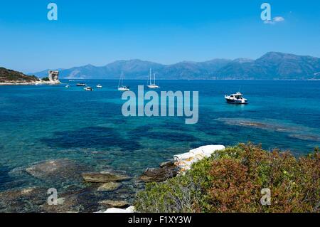 Francia, Haute Corse il deserto degli Agriates, Golfo di Saint Florent, Mortella tower Foto Stock