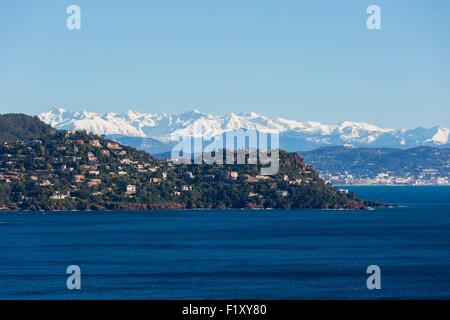 Francia, Alpes Maritimes, Theoule sur Mer, golfo della Napoule, Cannes e montagne innevate del Mercantour in background Foto Stock