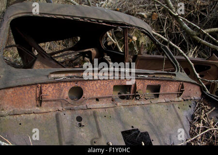 Rusty vecchia auto nascosti nei boschi Foto Stock