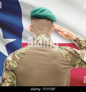 Salutando soldato di stato USA serie di bandiera - Texas Foto Stock