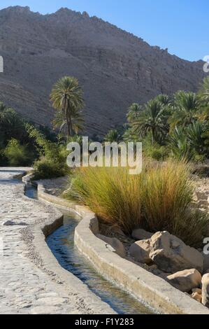 Il sultanato di Oman, gouvernorate di cenere Sharqiyah, Wadi Bani Khalid, falaj, sistema di irrigazione Foto Stock