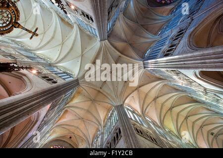 Francia, Somme, Amiens, la cattedrale di Notre Dame di Amiens elencati come patrimonio mondiale dall' UNESCO Foto Stock