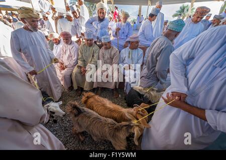 Oman, Ad-Dakhiliyah, mercato del bestiame Foto Stock