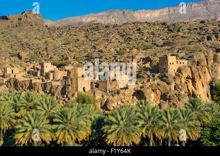 Oman, Djebel Shams, Wadi Ghul, antico borgo e Palm grove Foto Stock