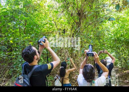Costa Rica, Puntarenas provincia, Manuel Antonio National Park, turisti osservando gli animali Foto Stock