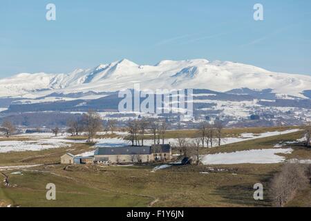 Francia, Cantal, Cezallier paesaggio vicino a Allanche, Monts-dore colline ans Puy de Sancy in background, Parc naturel regional des Volcans d'Auvergne (Riserva Naturale Regionale dei Vulcani della Auvergne) Foto Stock