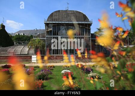 Francia, Loire Atlantique, Nantes, la serra nel Jardin des plantes in Nantes Foto Stock