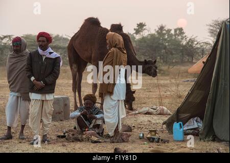 India Rajasthan, Nagaur, il Nagaur fiera del bestiame è la più grande fiera del suo genere nel paese Foto Stock