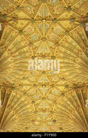 Il allestita ventola gotico soffitto a volte di Sherborne Abbey con il suo design colorato e simboli. Il Dorset, Inghilterra, Regno Unito. Foto Stock