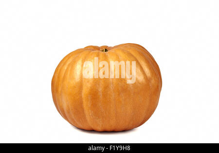 La zucca isolati su sfondo bianco Foto Stock