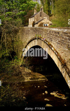 Ponte sul fiume Allen, Allendale, Northumberland Foto Stock