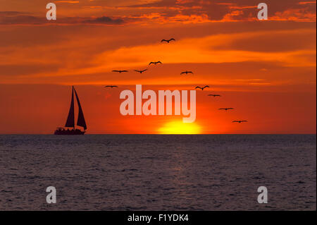 Barca a vela al tramonto con fantasia a profilarsi in barca a vela lungo il suo cammino contro una vivida tramonto colorato con gli uccelli in volo Foto Stock