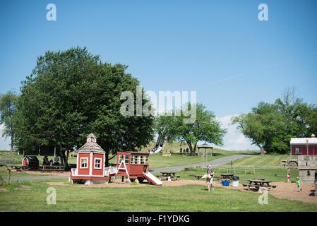 GERMANTOWN, Maryland: I visitatori raccolgono fragole mature nei campi del Butler's Orchard durante l'alta stagione delle fragole. L'azienda agricola a conduzione familiare, adagiata sul paesaggio ondulato della contea di Montgomery, offre un'esperienza molto apprezzata come parte delle sue attrazioni agrituristiche. Foto Stock