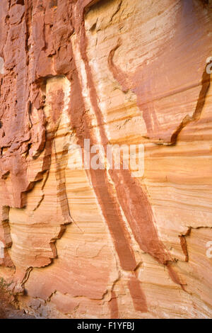 Vista in Grand Lavare a Capitol Reef National Park nello Utah centrale Foto Stock