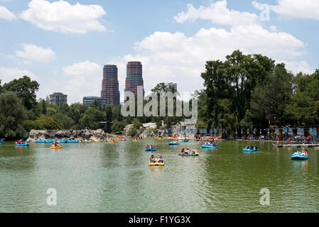 Bosque De Chapultepec Paddle Boats città del Messico // CITTÀ DEL MESSICO, Messico - i visitatori utilizzano le barche a remi sul lago a Bosque de Chapultepec, un grande parco pubblico nel centro di città del Messico. Il parco, comunemente noto come Chapultepec Park, copre circa 1.695 acri (686 ettari) ed è uno dei più grandi parchi cittadini dell'emisfero occidentale. Bosque de Chapultepec è un'importante destinazione ricreativa per residenti e turisti, con laghi, musei e spazi verdi. Il parco ospita diverse importanti istituzioni culturali, tra cui il Museo Nazionale di Antropologia e il Castello di Chapultepec Foto Stock