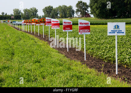 Forest City, Iowa - marchio di segni differenti varietà di raccolto in un campo di semi di soia, comprese le colture geneticamente modificate. Foto Stock