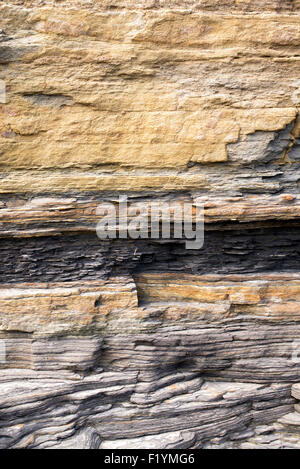 Rocce carbonifero a Scremerston, Berwick Upon Tweed, Northumberland, Inghilterra Foto Stock