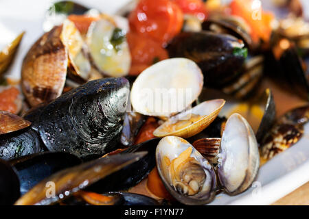 Salsa mihed per preparare pasta allo scoglio con cozze e vongole Foto Stock