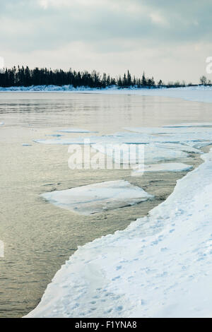 Gelido con la riva del lago Superior con ice floes galleggianti in acqua durante l'inverno, North Shore Grand Marais, Minnesota, Stati Uniti d'America Foto Stock