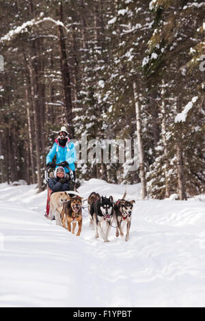 La donna è a capo di un team di husky Sleddog attraverso la neve, Ely, Minnesota, Stati Uniti d'America Foto Stock