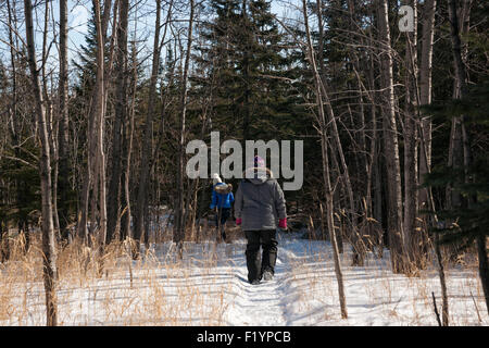 Due donne escursione lungo un sentiero innevato nella foresta su una giornata invernale, Tettegoche, MN, Stati Uniti d'America Foto Stock