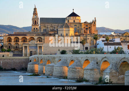 Mezquita catedral (Cattedrale Moschea) e Ponte Romano (Puente Romano) a sunrise, Cordoba, Andalusia, Spagna Foto Stock