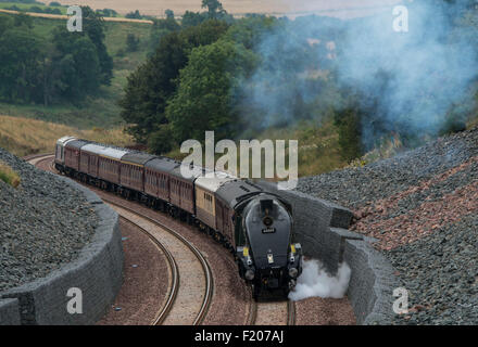 Banca Borthwick, Scotland, Regno Unito. Il 9 settembre, 2015. L'Unione del Sud Africa treno a vapore che si fa strada fino Borthwick banca come si trasporta la regina sulle nuove frontiere della linea ferroviaria. Queen Elizabeth II diventa il più lungo il monarca regnante oggi e apre ufficialmente la linea. Credito: Andrew O'Brien/Alamy Live News Foto Stock