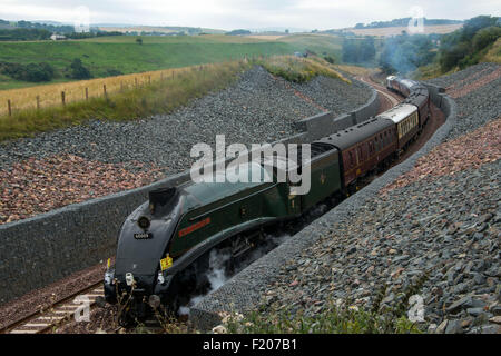 Banca Borthwick, Scotland, Regno Unito. Il 9 settembre, 2015. L'Unione del Sud Africa treno a vapore che si fa strada fino Borthwick banca come si trasporta la regina sulle nuove frontiere della linea ferroviaria. Queen Elizabeth II diventa il più lungo il monarca regnante oggi e apre ufficialmente la linea. Credito: Andrew O'Brien/Alamy Live News Foto Stock